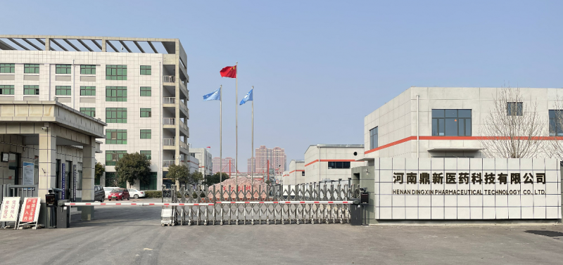 河南鼎新醫藥科技有限公司2025年地下水、土壤項目檢測報告公示